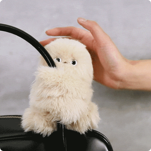 Mirumi — Le Charme-Robot Interactif